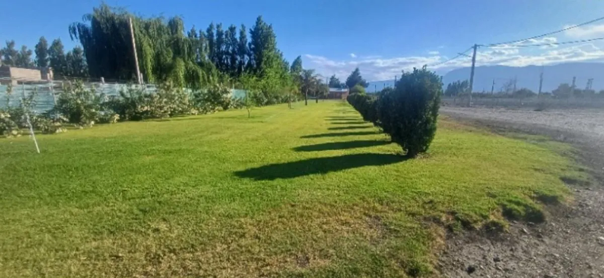 Lote en Calle Cervantes y Las Mercedes S/N