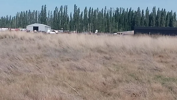 Lote en Chascomus 100