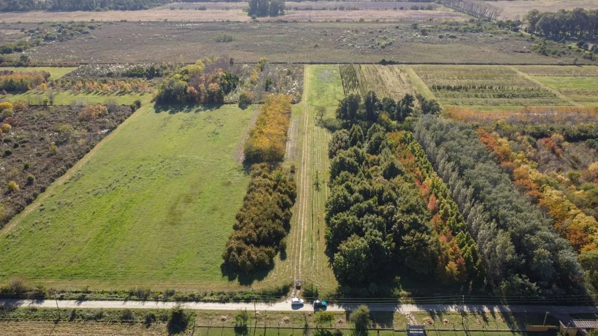 Campo en 137 y 647 S/N
