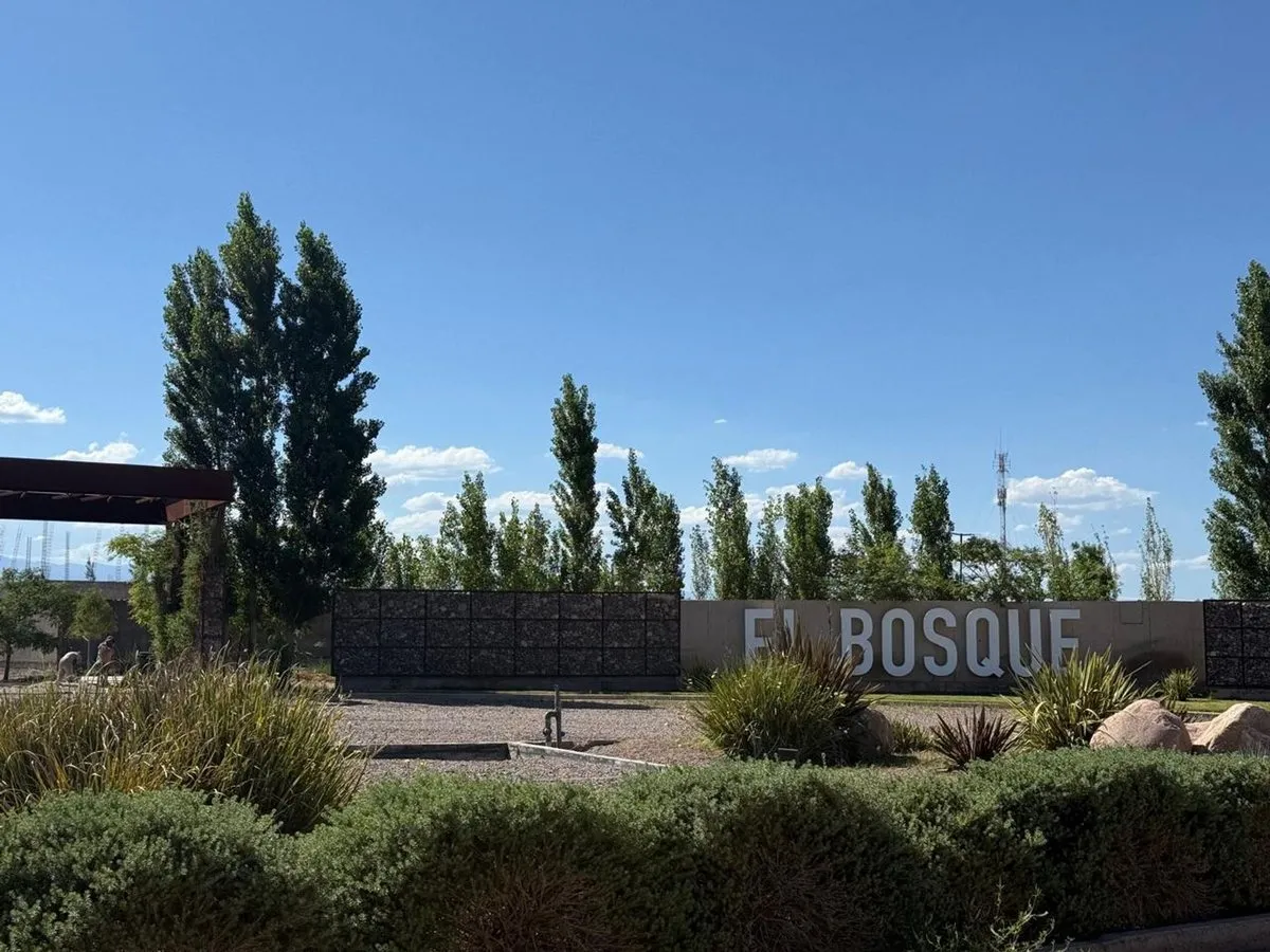 Lote en Don Bosco y Ruta 50 S/N