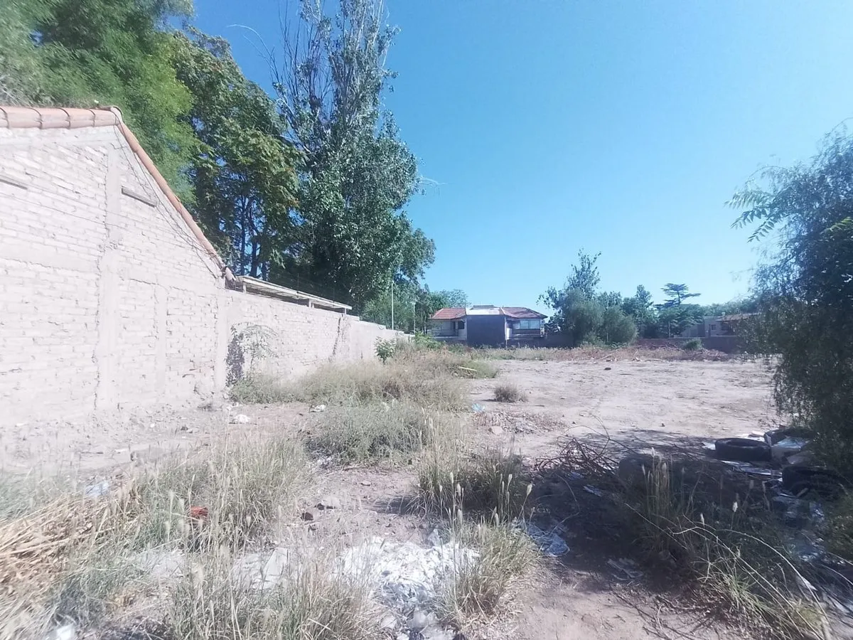 Lote en Palacios César 1000