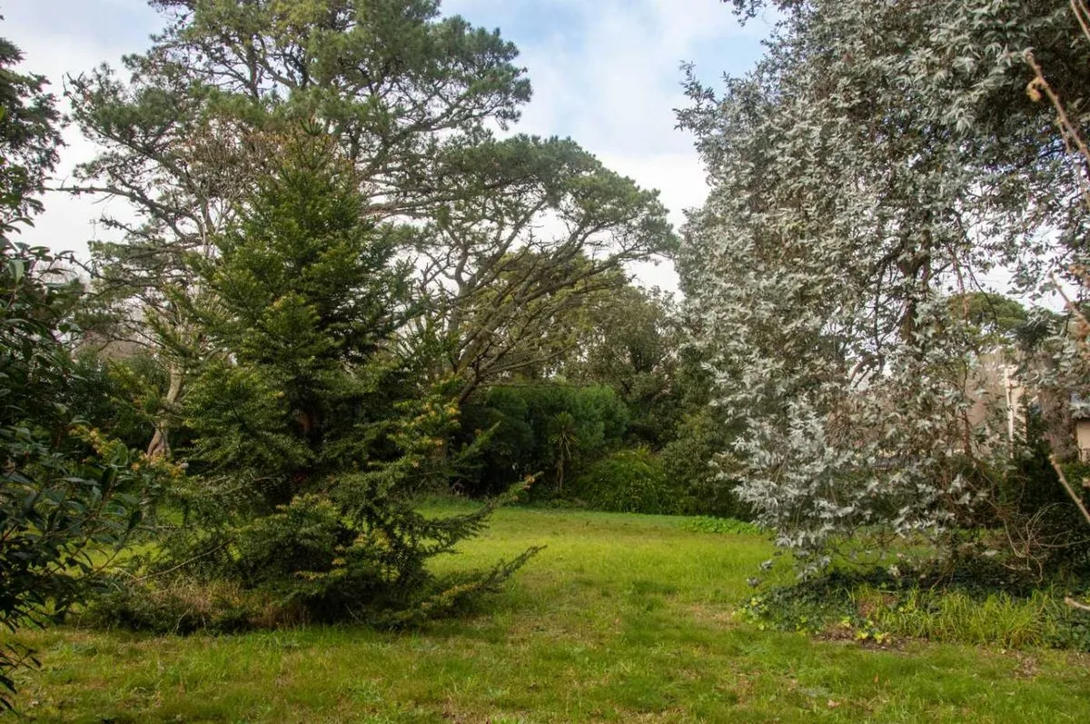 Lote en Picaflor S/N