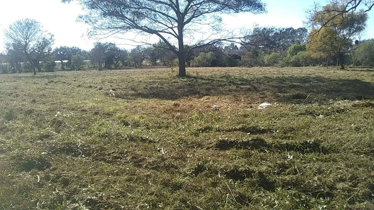 Lote en Callejon Vidal 9900