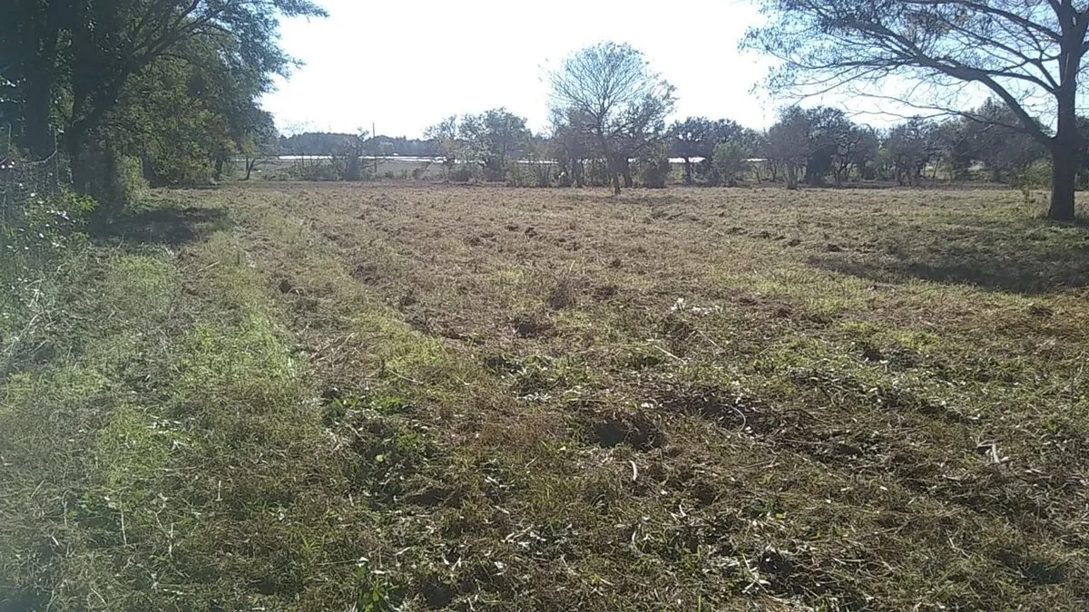 Lote en Callejon Vidal 9900