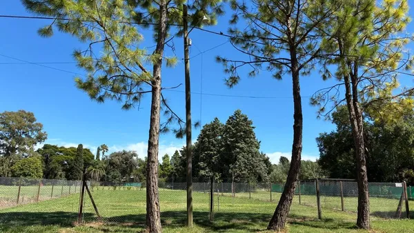 Lote en Alto Verde 100
