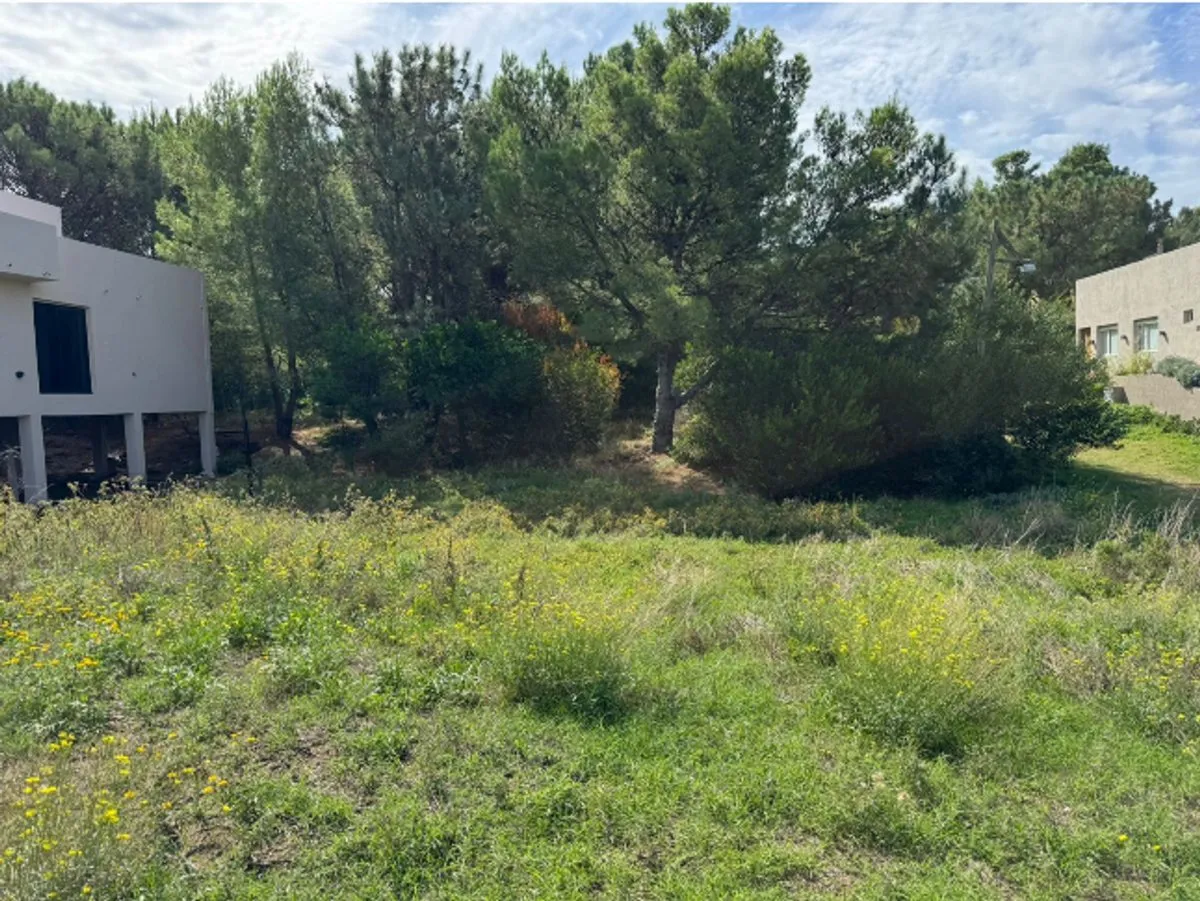 Lote en Avd Sansot y el Gavilan S/N