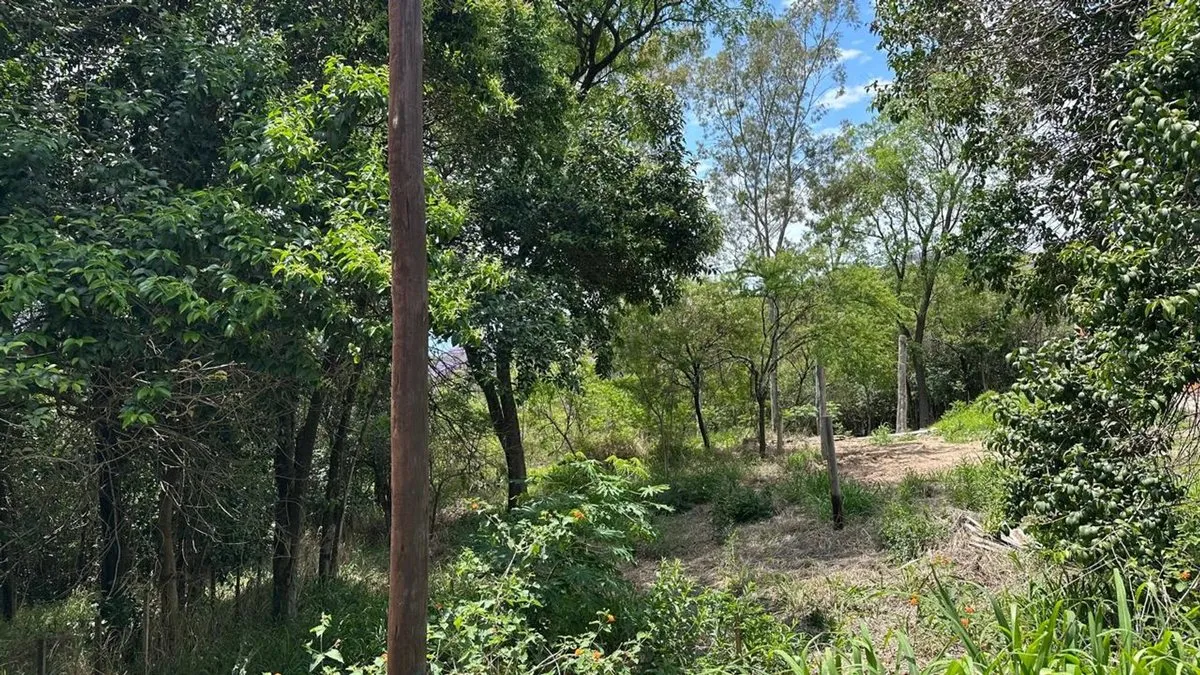 Lote en Calle Desconocida S/N