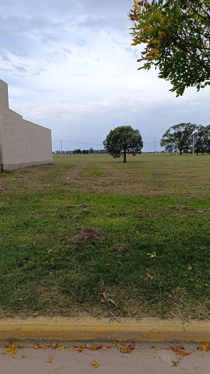 Lote en 1° de Mayo 1800