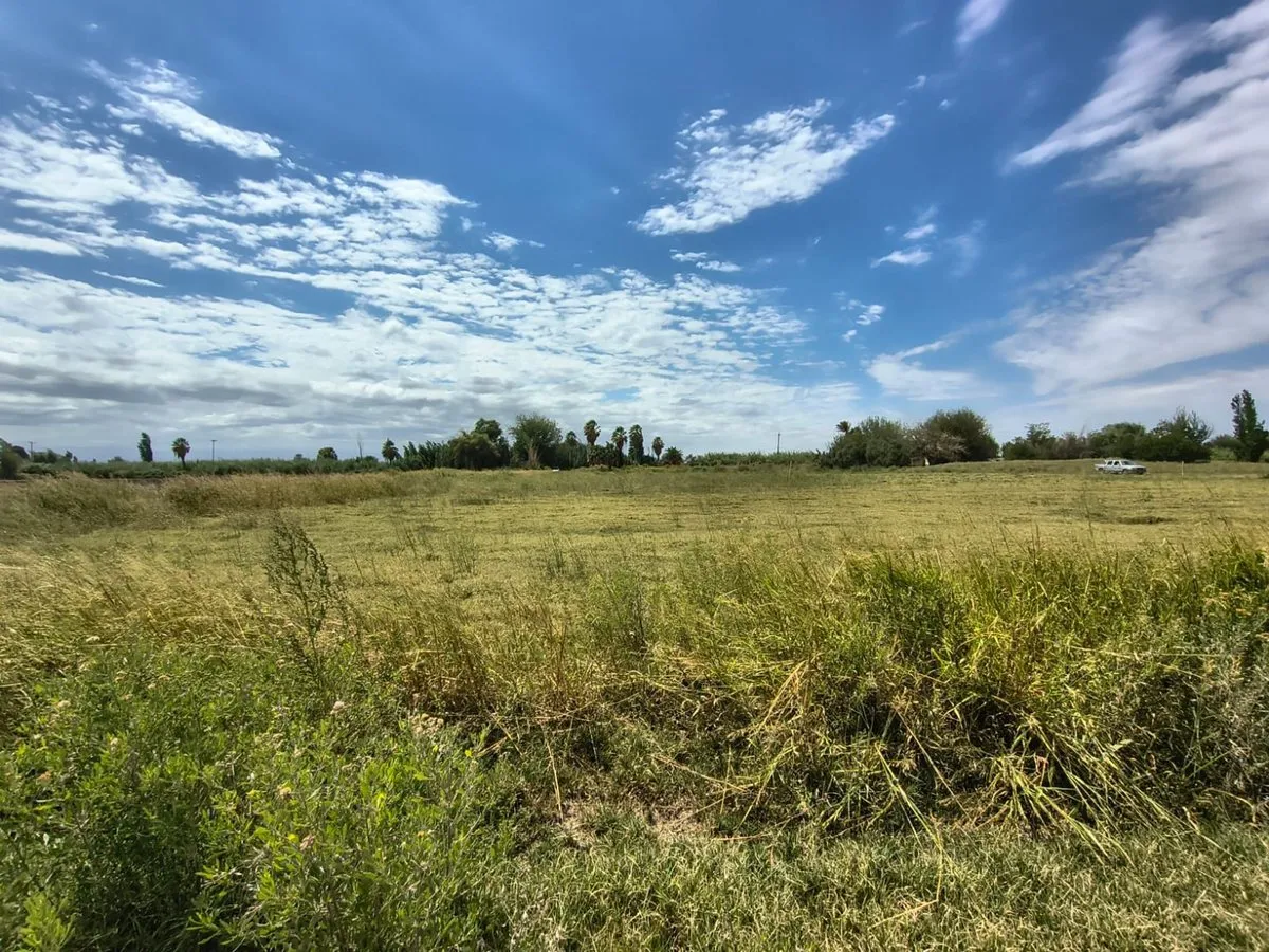 Lote en Vicente Lopez y Planes Entre Calles 8 Y 0
