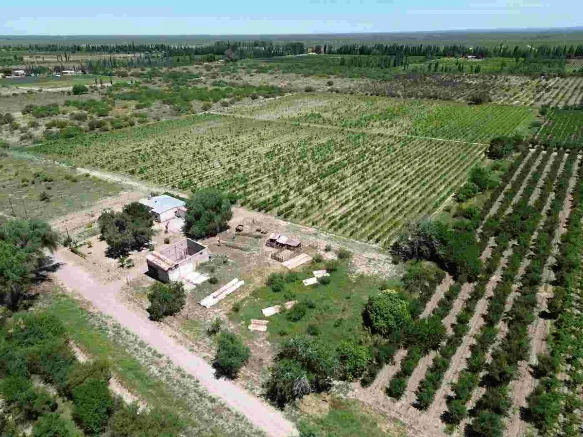 Campo en Calle Publica Entre Calle Nueva y Calle Las Trincheras S/N