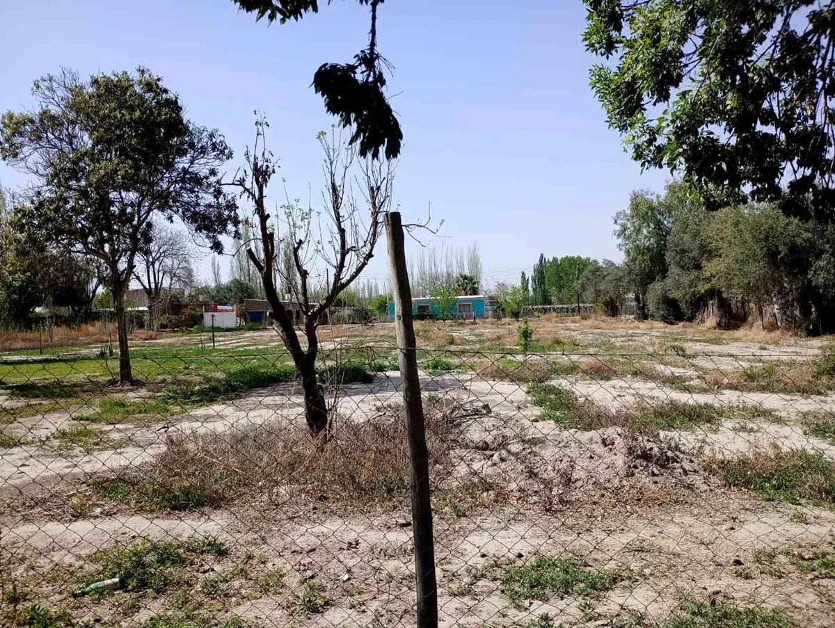 Lote en Callejón Rodriguez S/N