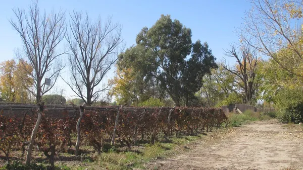 Campo en R.b. de Zapata S/N