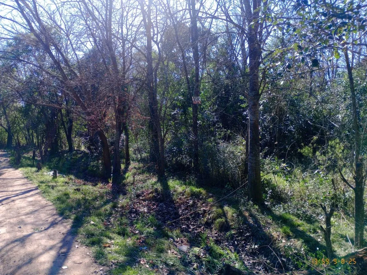 Lote en Victorino de la Plaza Parc 12a S/N