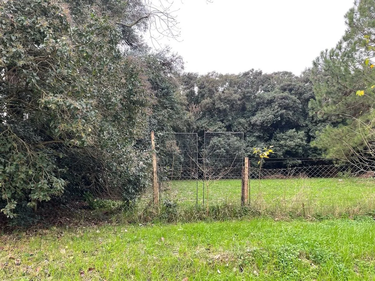 Lote en San Alejandro 1300