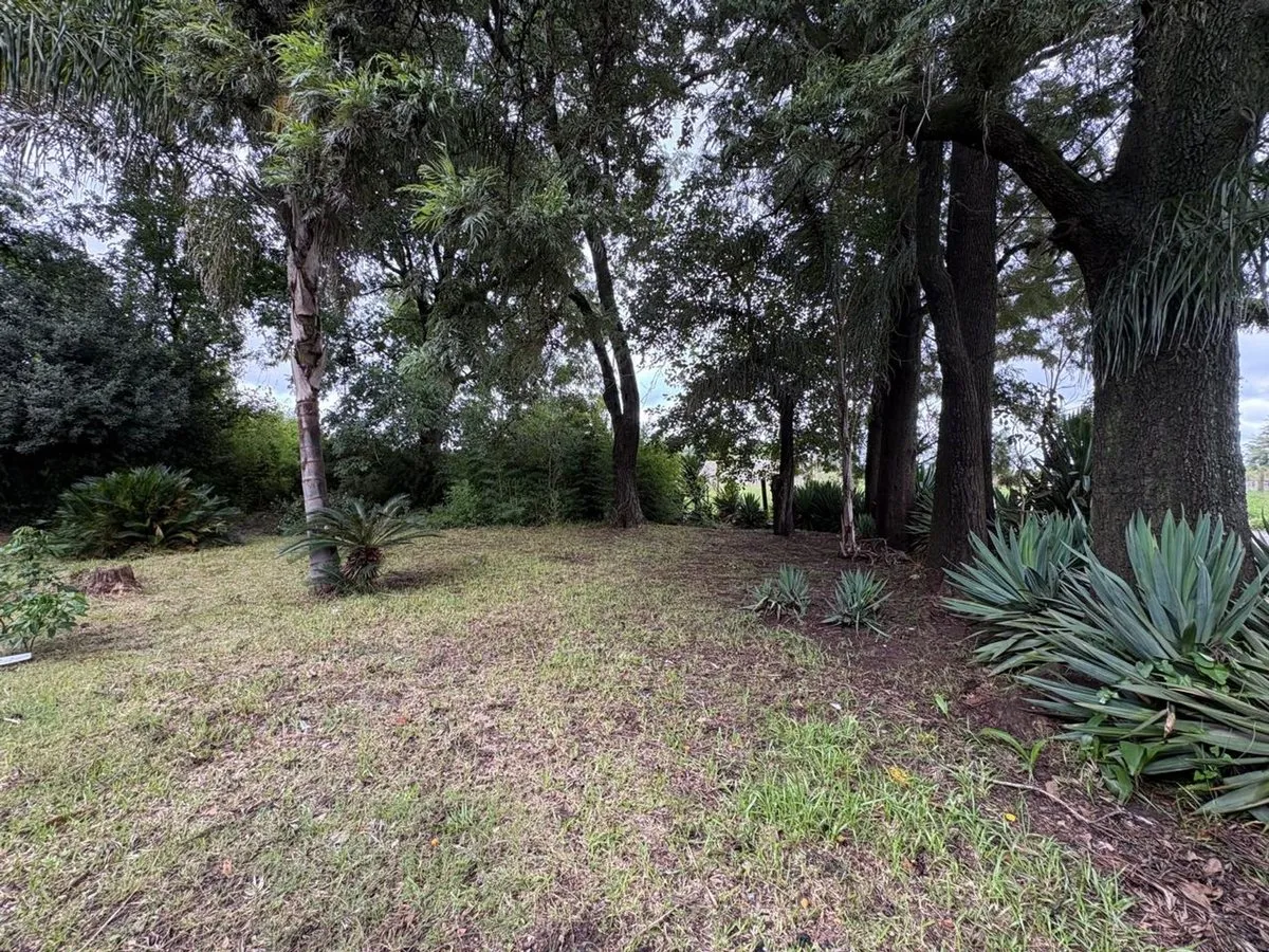 Lote en Rosario 200