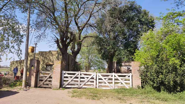 Campo en O' Brien Bragado Buenos Aires S/N