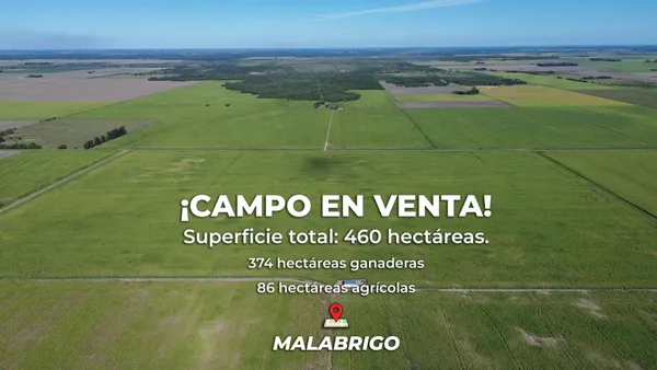Campo en Camino Comunal S/N