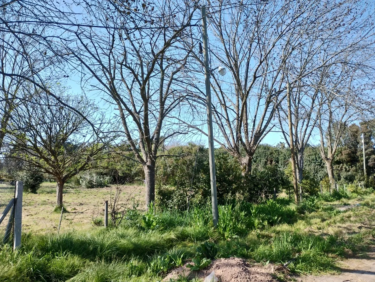 Lote en 11 Esq 47 0