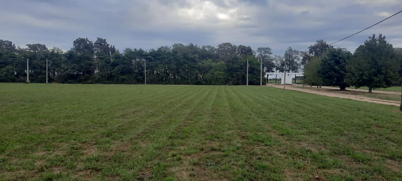 Lote en Costa Nogales S/N