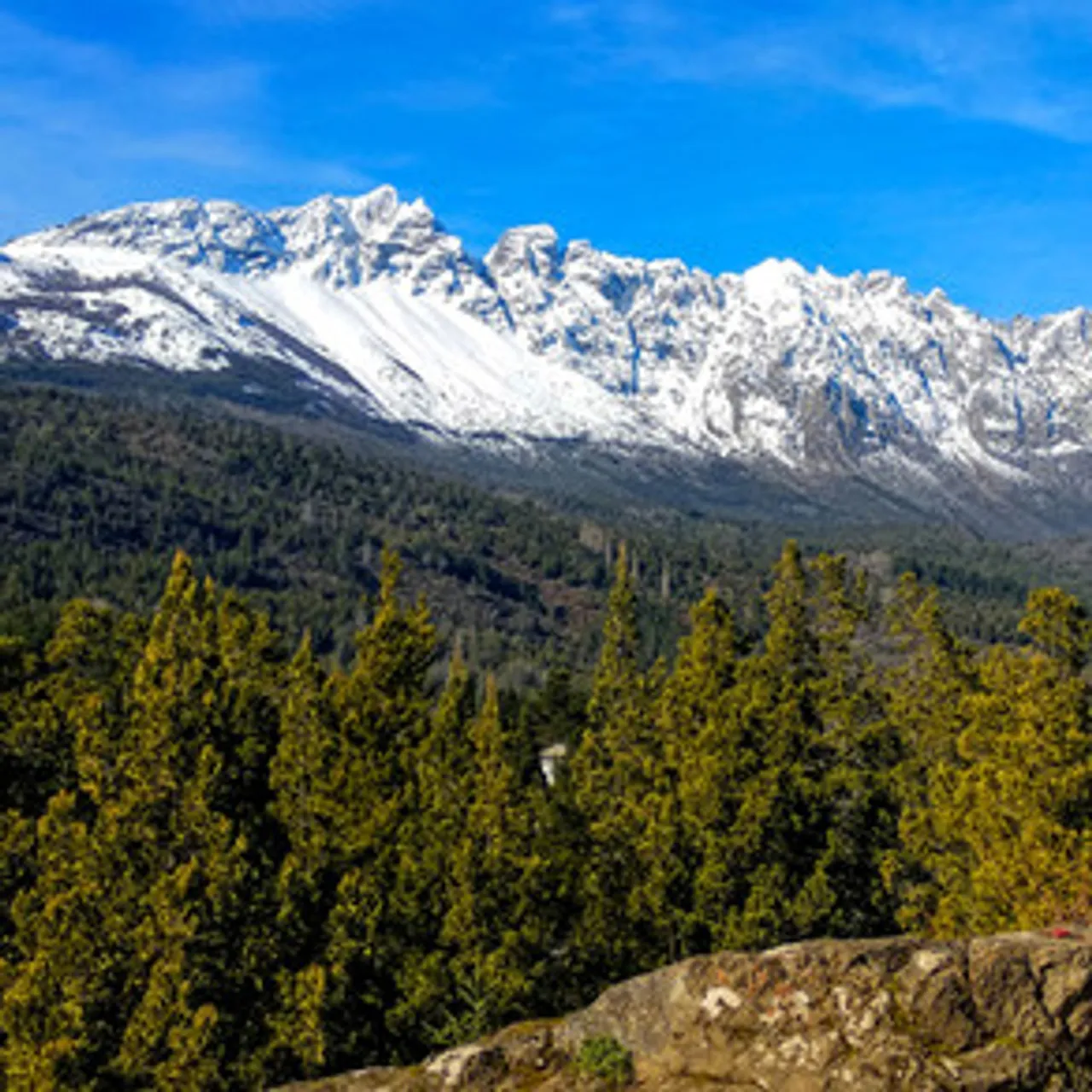 Campo en Subida de la Cruz S/N