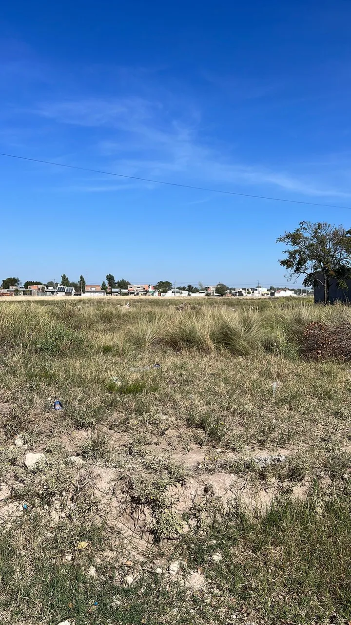 Lote en Estomba 3000