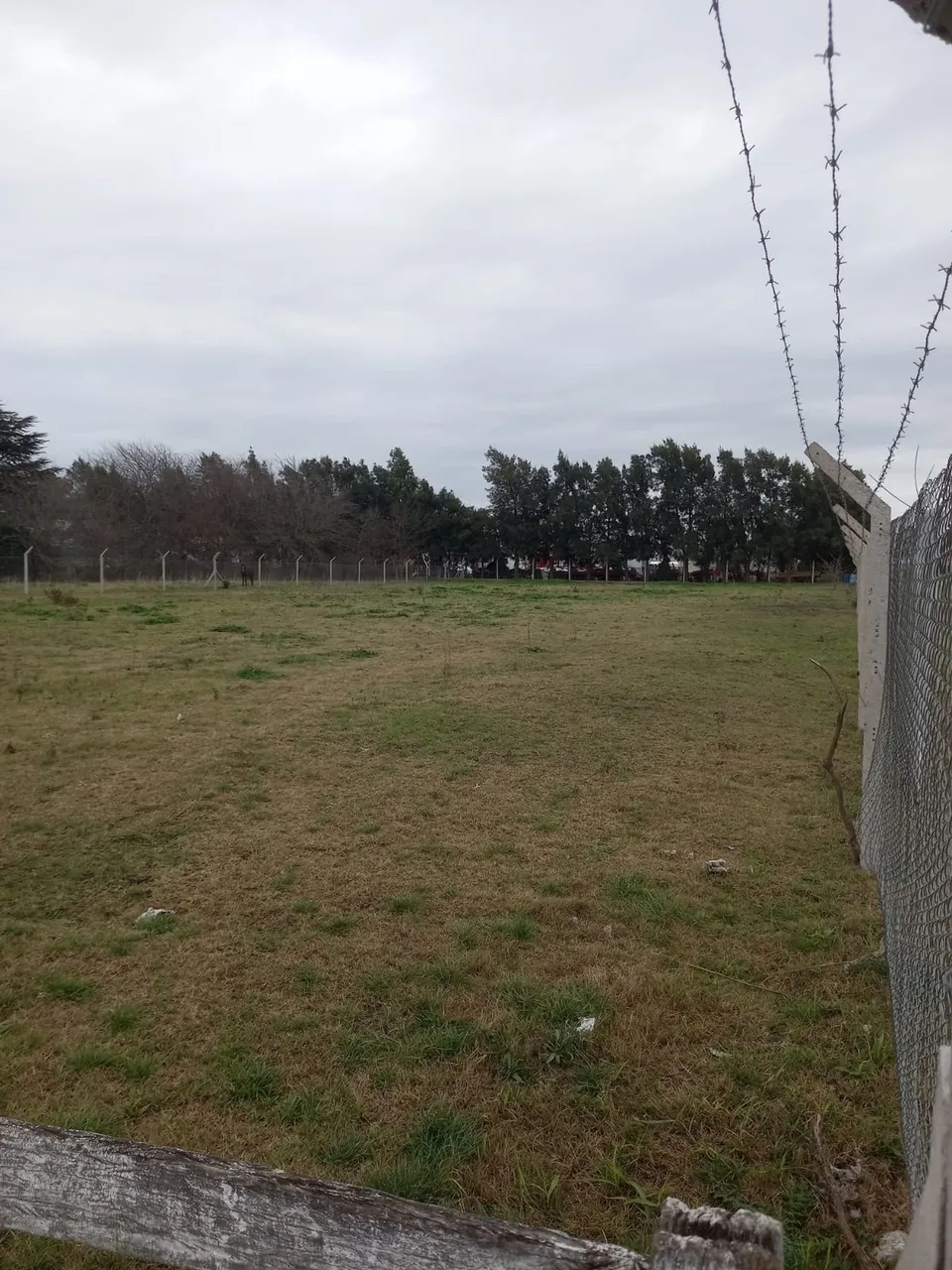 Lote en Bartolomé Long S/N