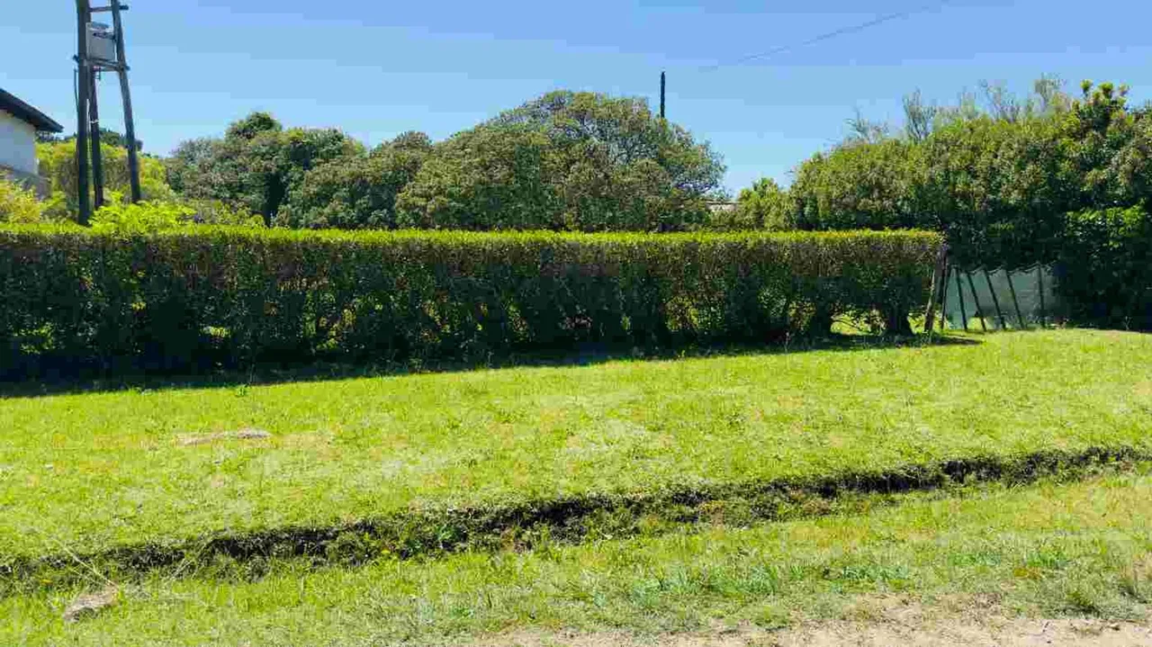 Lote en Calle 729 S/N