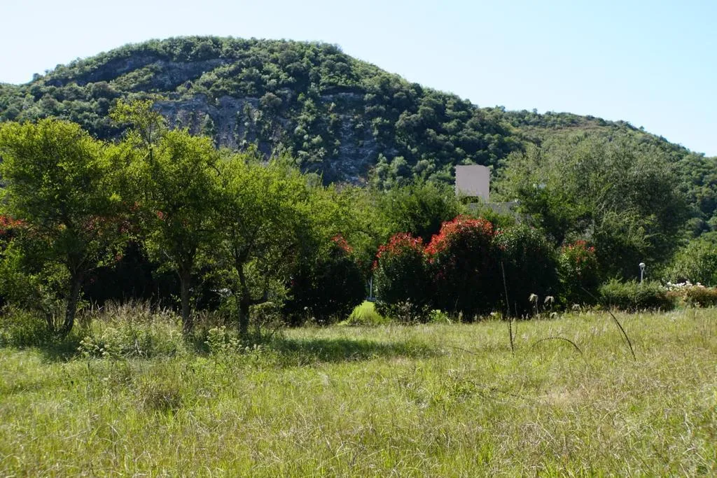 Terreno en Publica SN