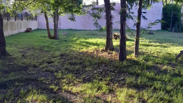 Terreno en french al 1200