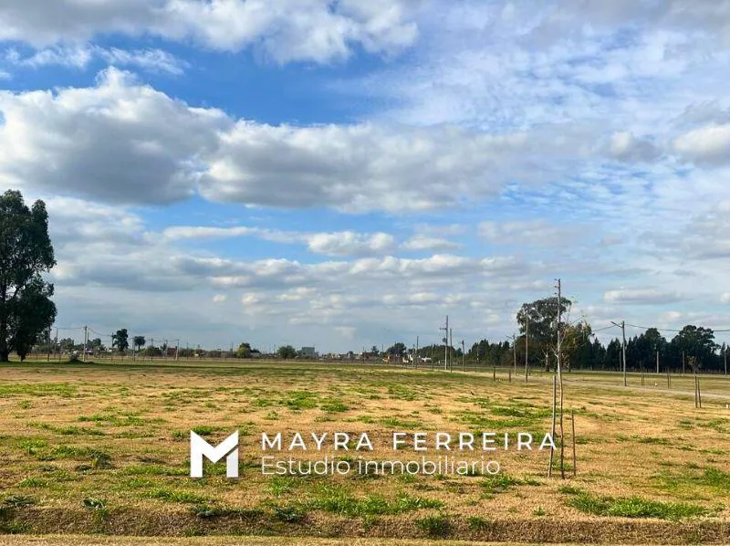 Terreno en Terreno en venta en Fincas Joven - san vicente