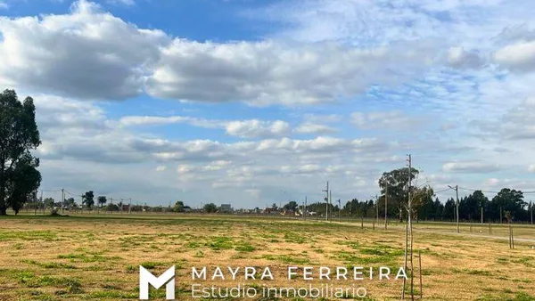 Terreno en Terreno en venta en Fincas Joven - san vicente
