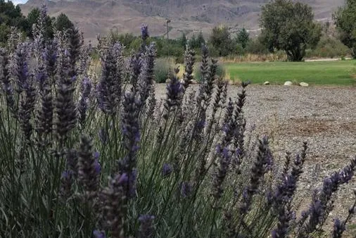 Terreno en EL PEGUAL CLUB DE CAMPO