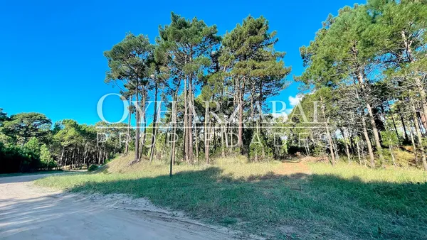 Terreno en Calandria y Ancla