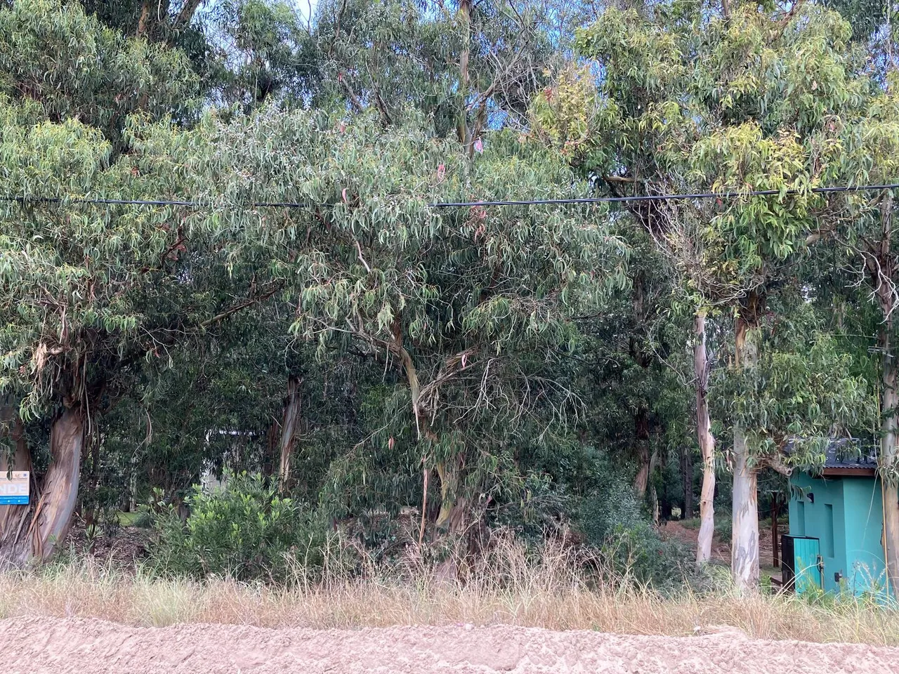Terreno en Juana Soria