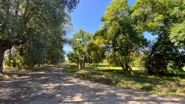 Terreno en El Cardal 2