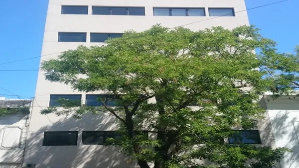 Oficina en 48 e/14y15 (6ºD)