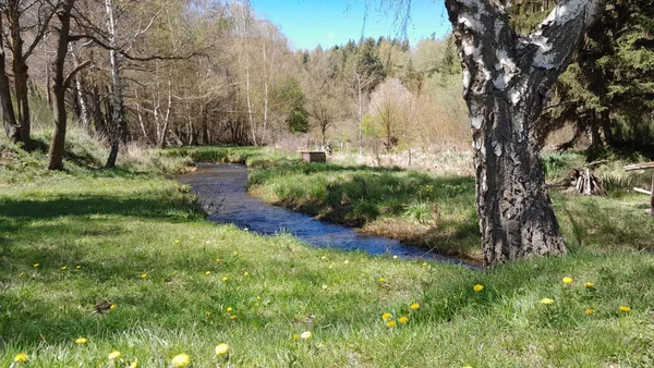 Terreno en Terreno en venta en Ruca Hue, San Martin de los Andes