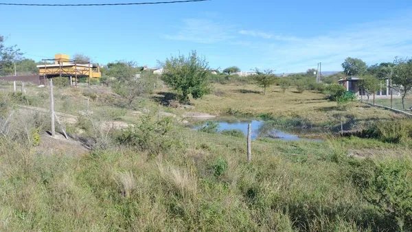 Terreno en LOS SAUCES 00