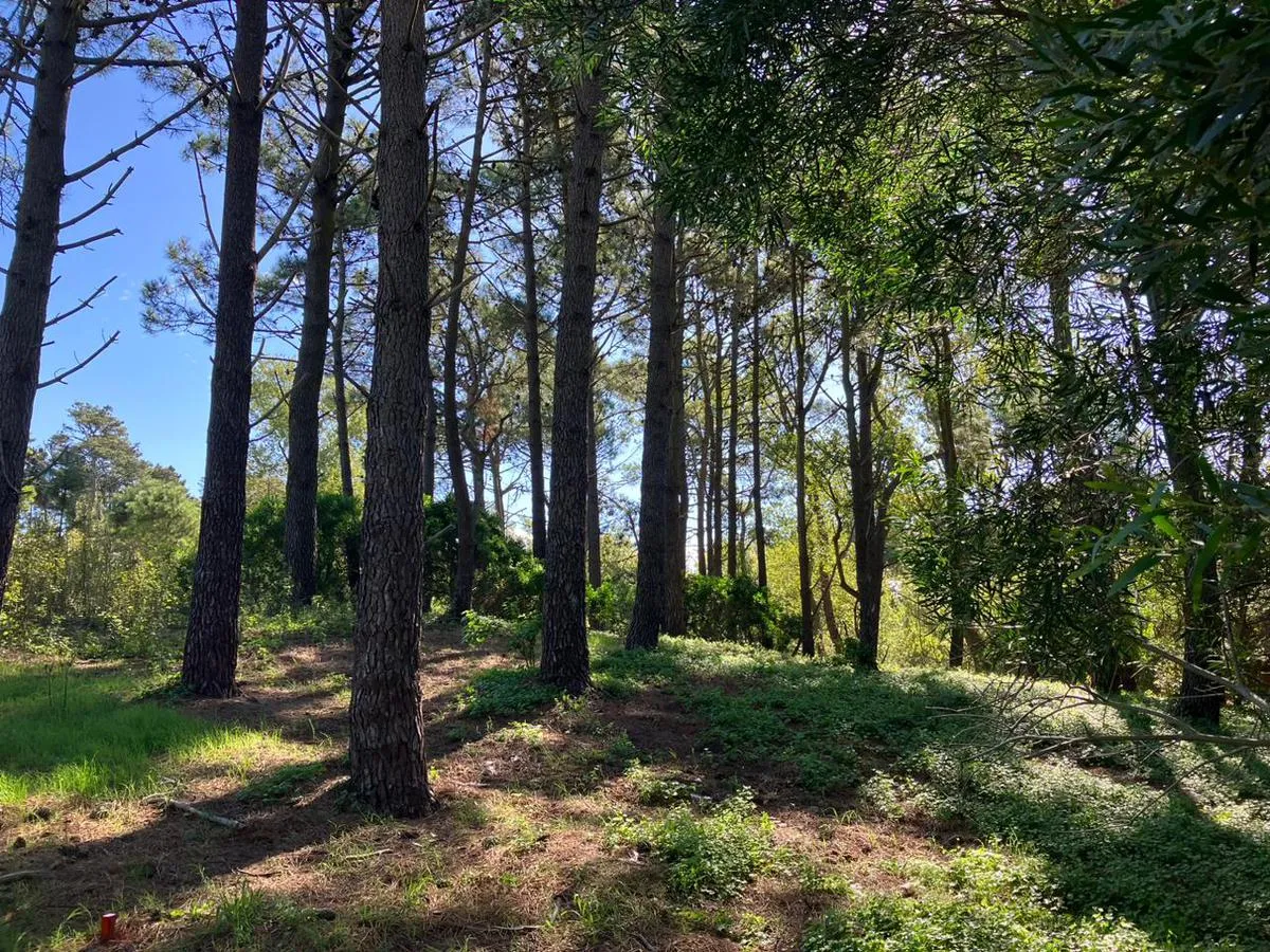 Terreno en Miramar entre 33 y 34