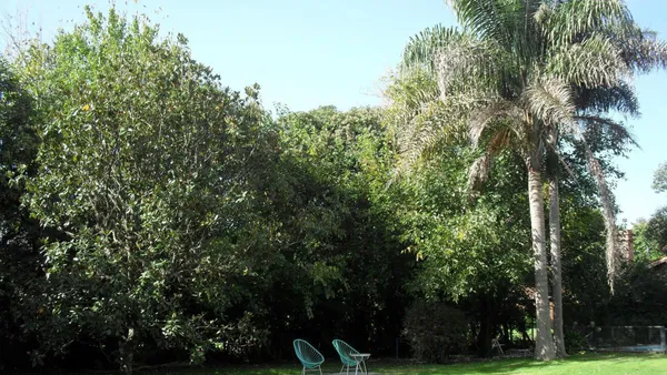 Casa en Panamericana Km 45,500