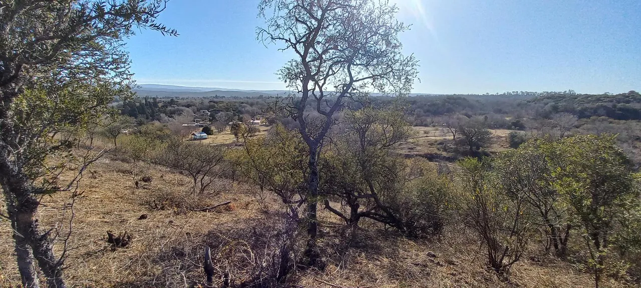 Terreno en La Rinconada 50
