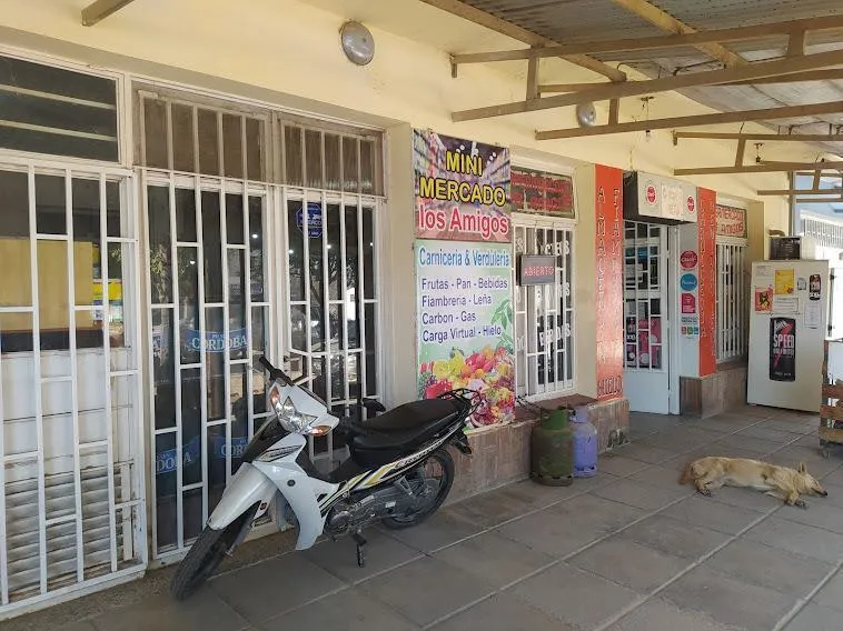 Local Comercial en Villa Santa Cruz del Lago
