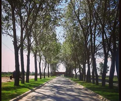 Terreno en F. Cáceres Canning, La Alameda