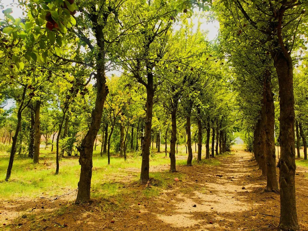 Terreno en TERRENO EN VENTA DON VICENTE EN NEUQUEN
