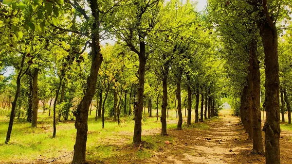 Terreno en TERRENO EN VENTA DON VICENTE EN NEUQUEN