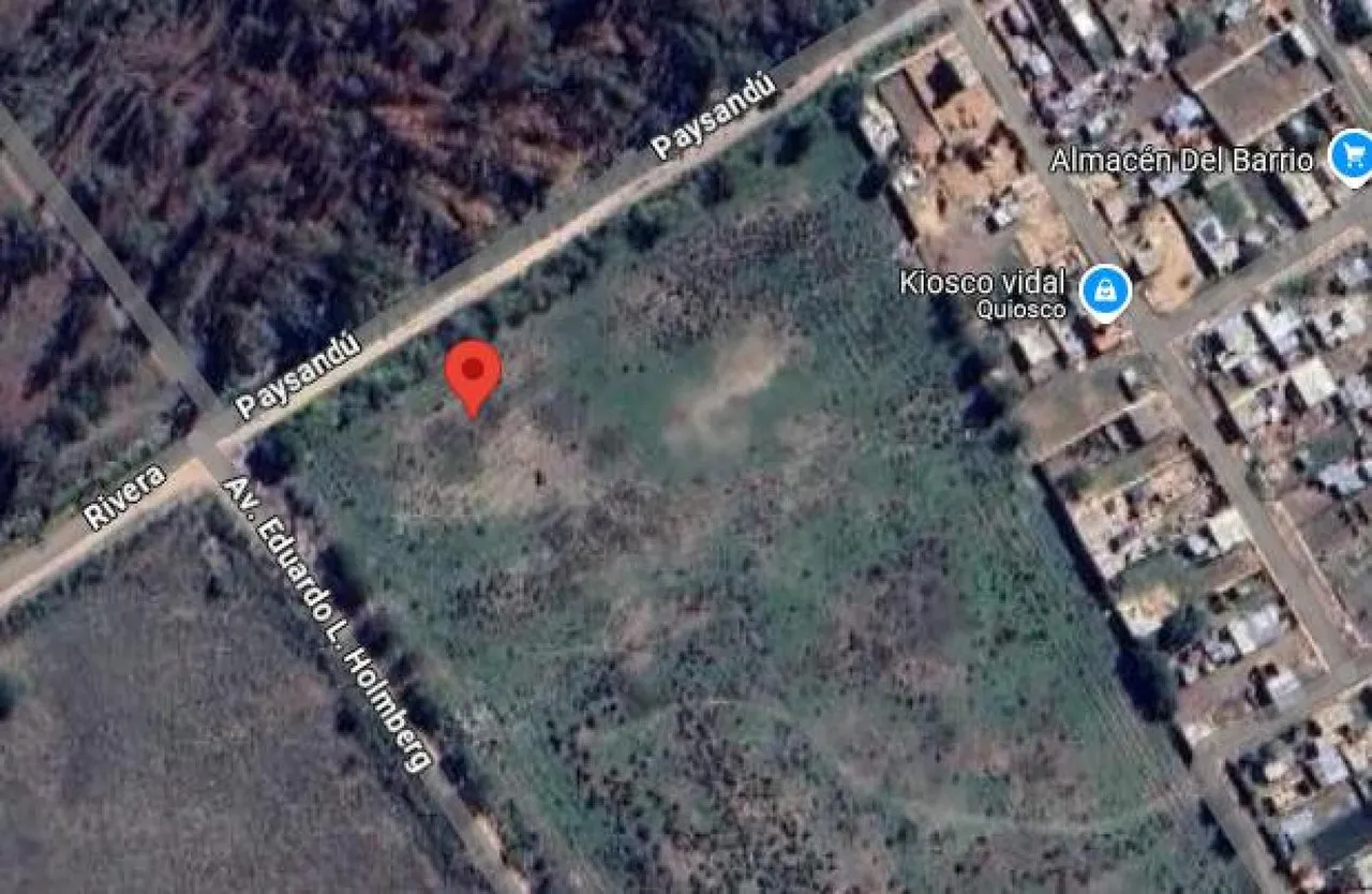 Campo en Avenida Holmberg y Paysandú