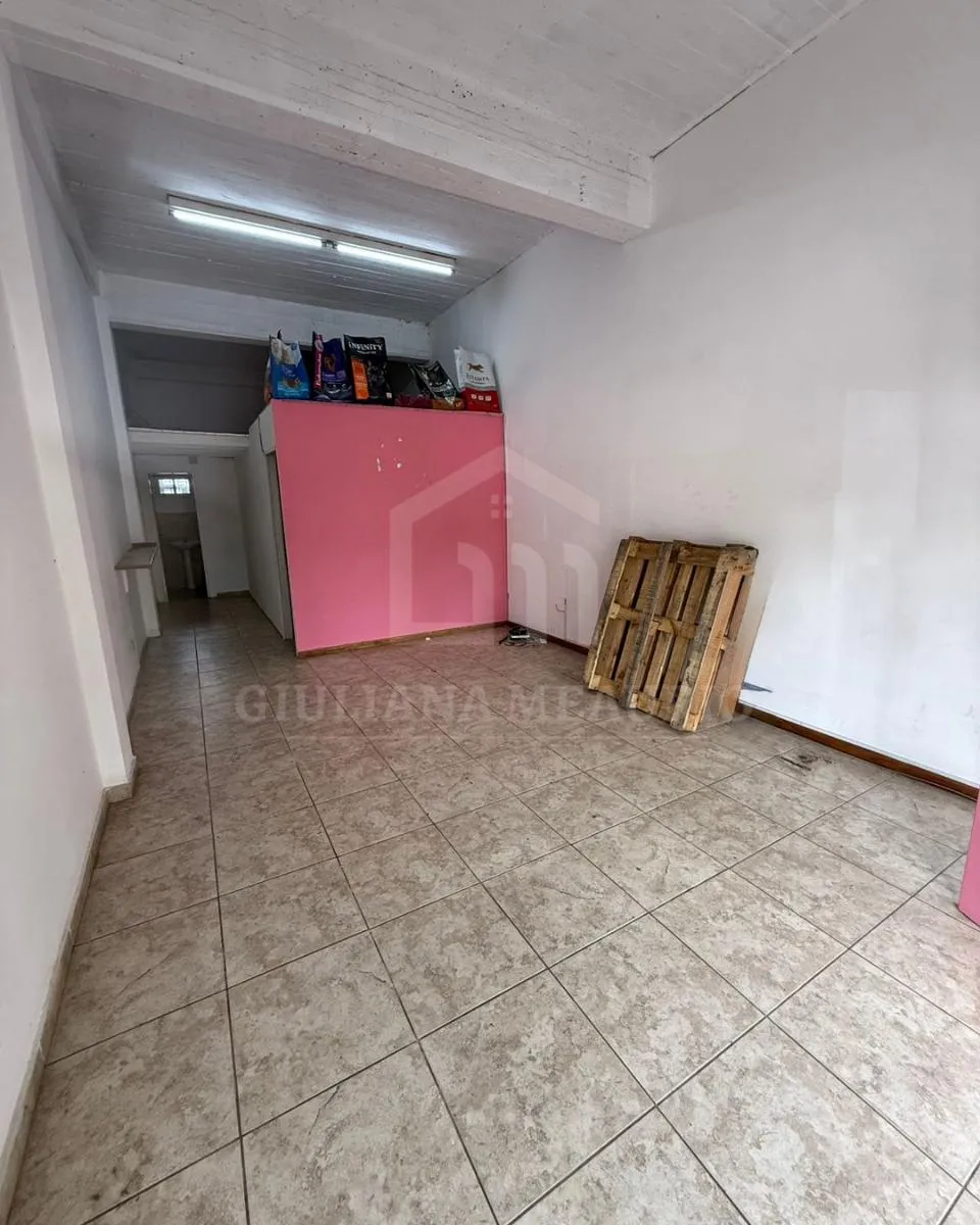 Local Comercial en Mariano y Luciano De La Vega al 500