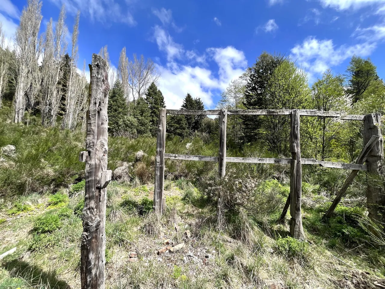 Terreno en Villa Lago Lolog - San Martin de los Andes - 14 Hectáreas