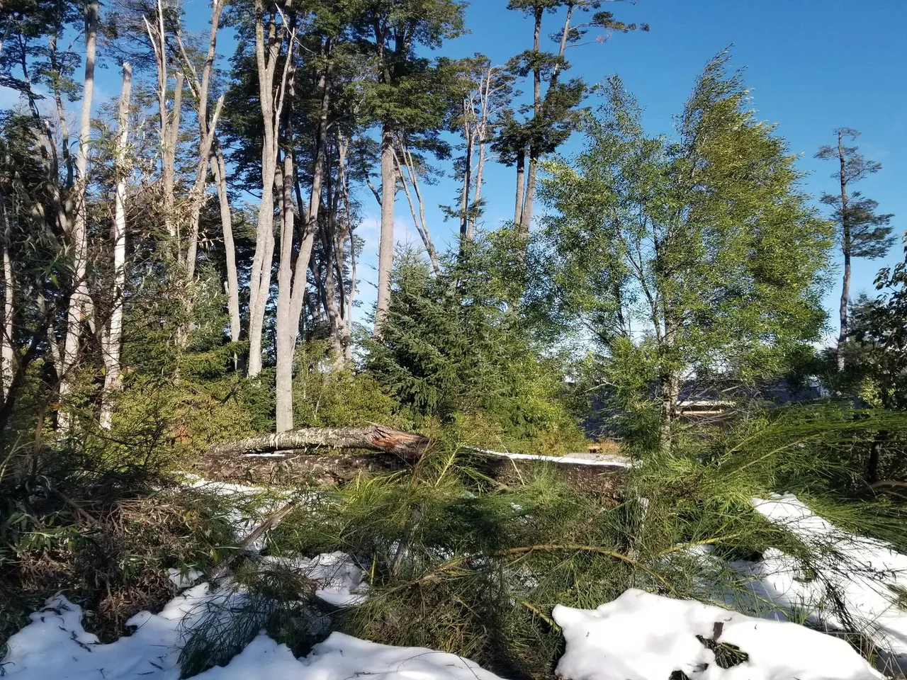 Terreno en Bandurrias al 200