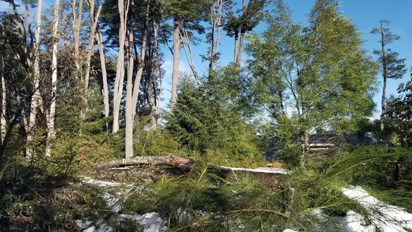 Terreno en Bandurrias al 200